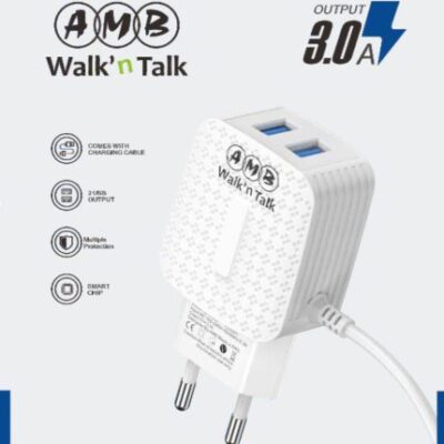 AMB FAST CHARGER NM-13